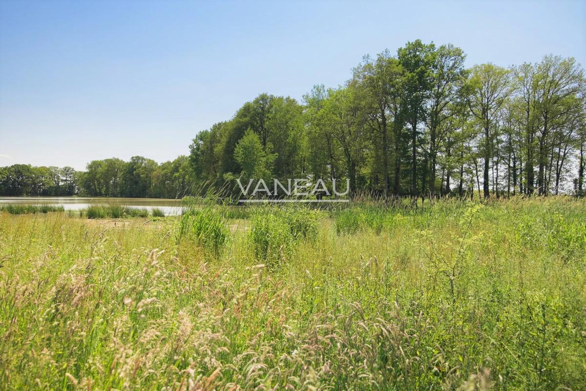 Domaine de 20 hectares - 1.30h de paris - perche sud