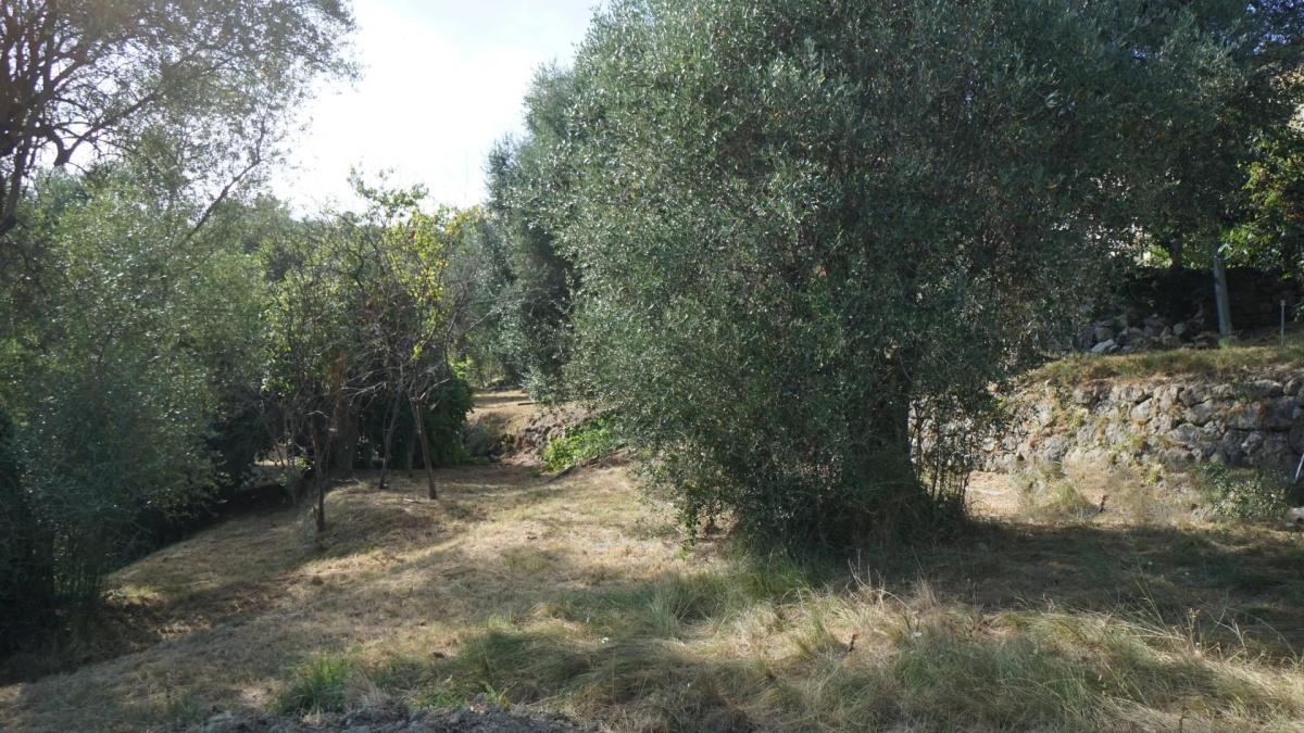 Châteauneuf - magnifique terrain constructible à vendre