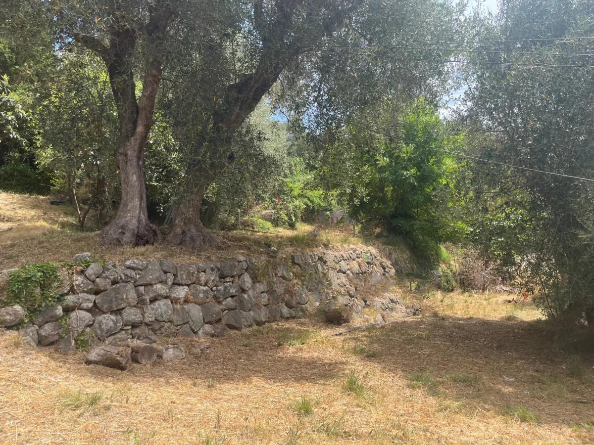 Châteauneuf - magnifique terrain constructible à vendre