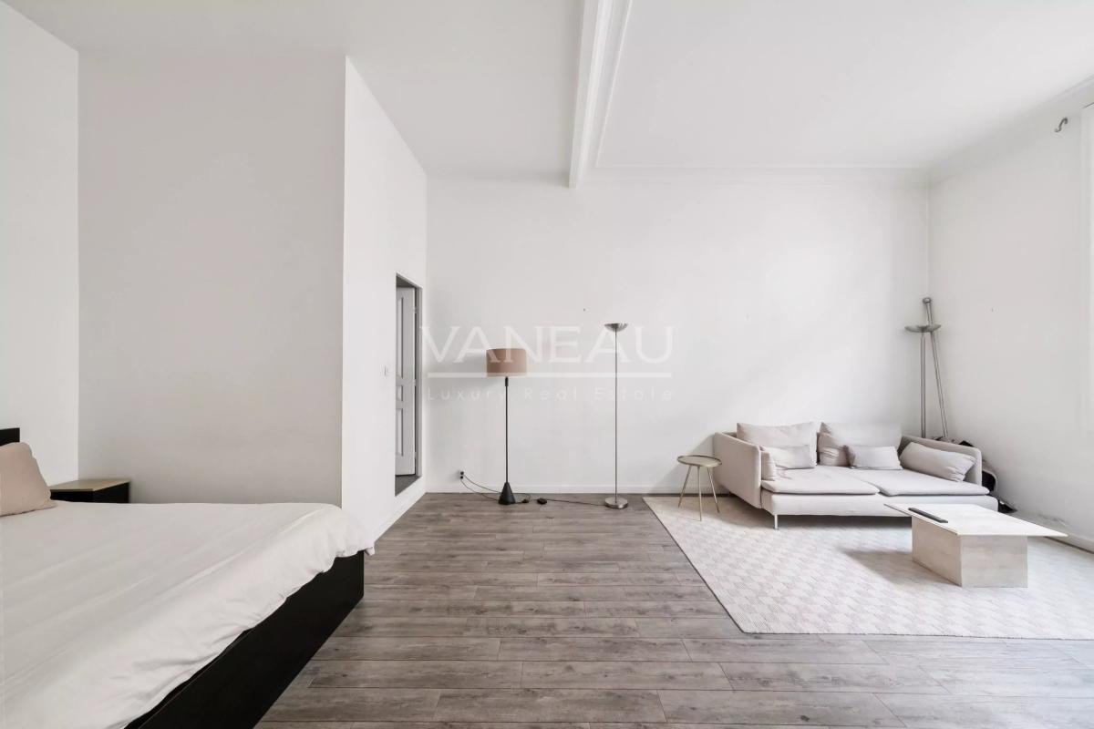 Paris XVIe Trocadéro Grand Studio de 44 m2 loi Carrez