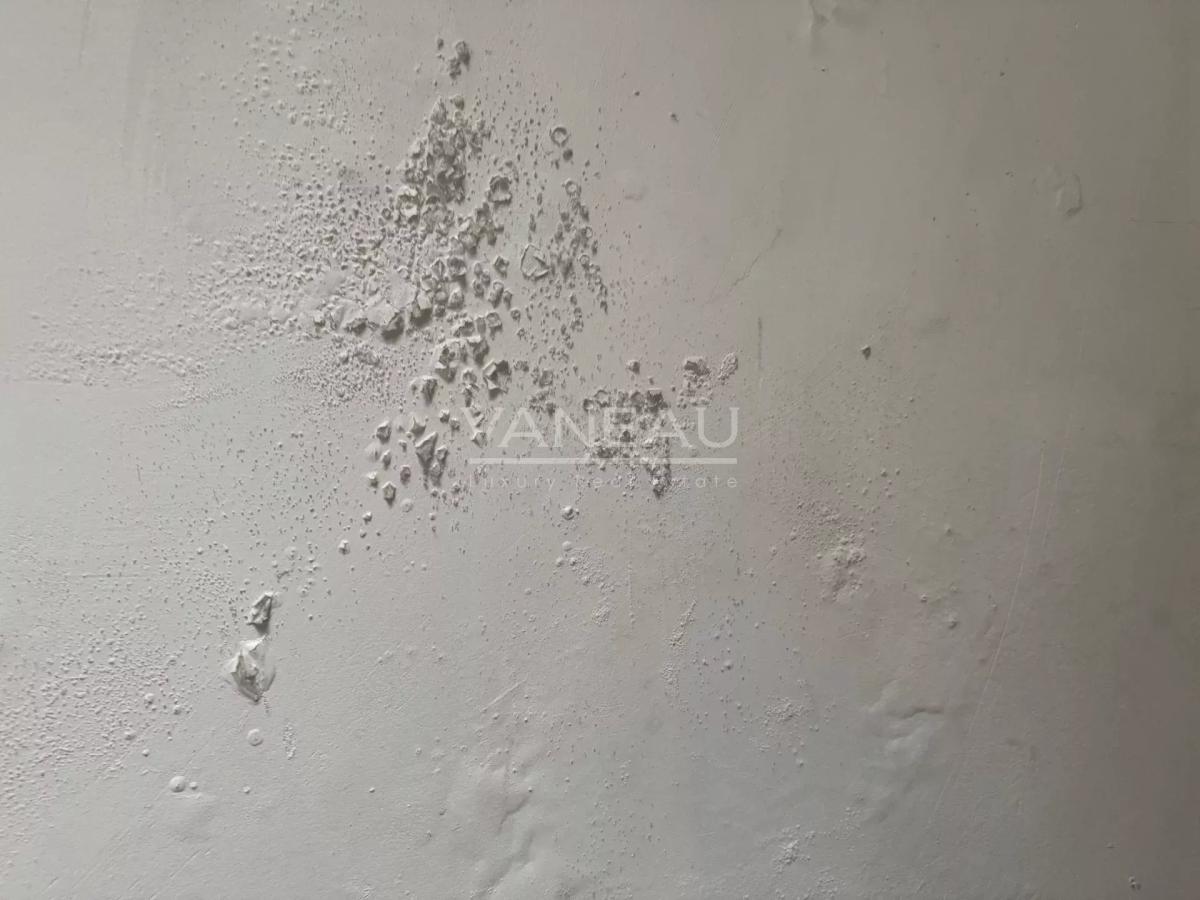 Exclusivité - Appartement - Paris 5 - Val de Grace - lumière / p