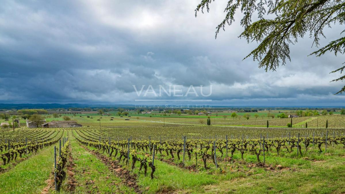 Lisle-sur-Tarn- Domaine Viticole d’exception au cœur de la Tosca