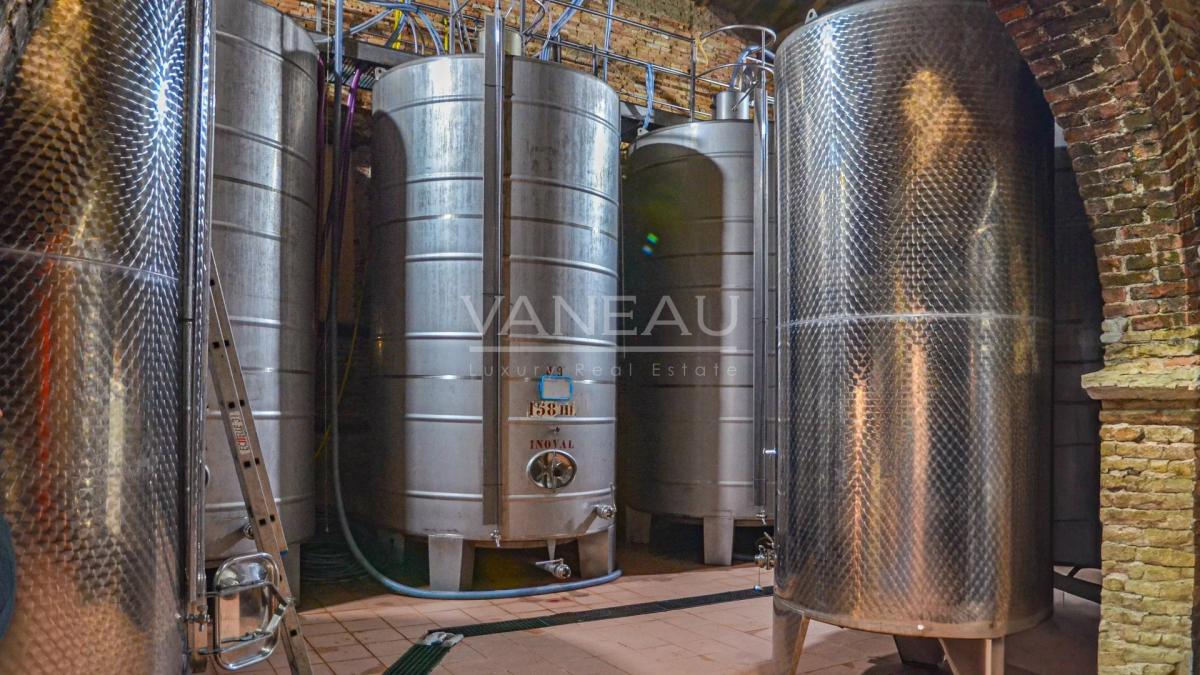 Lisle-sur-Tarn- Domaine Viticole d’exception au cœur de la Tosca