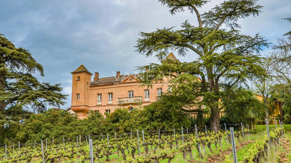 Lisle-sur-Tarn- Domaine Viticole d’exception au cœur de la Tosca