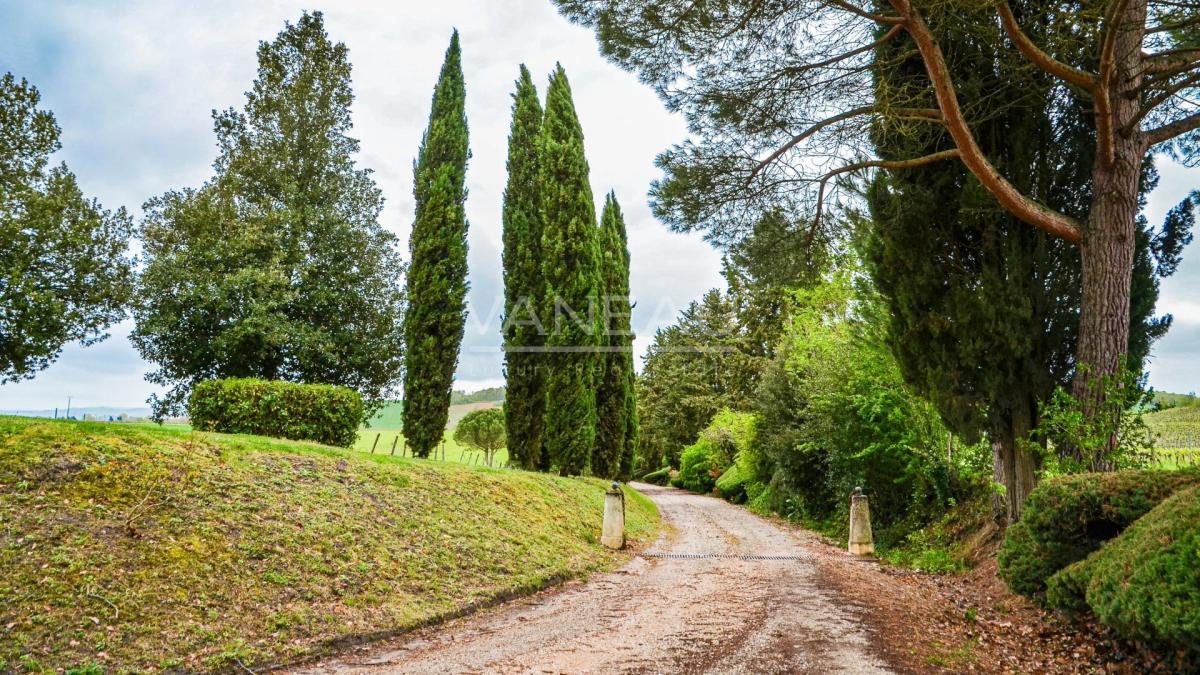 Lisle-sur-Tarn- Domaine Viticole d’exception au cœur de la Tosca